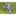 QR20 Gearbox Nissan XTRAIL